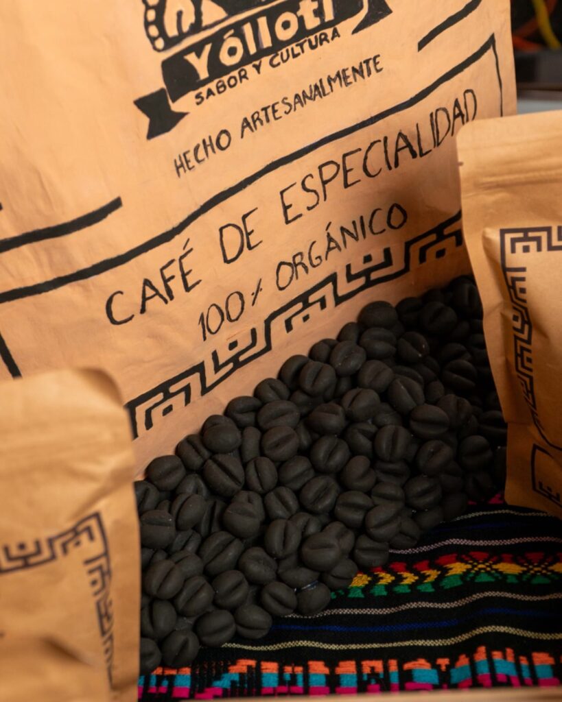 Productores de café en México trabajando con prácticas sustentables apoyadas por Yóllotl.
